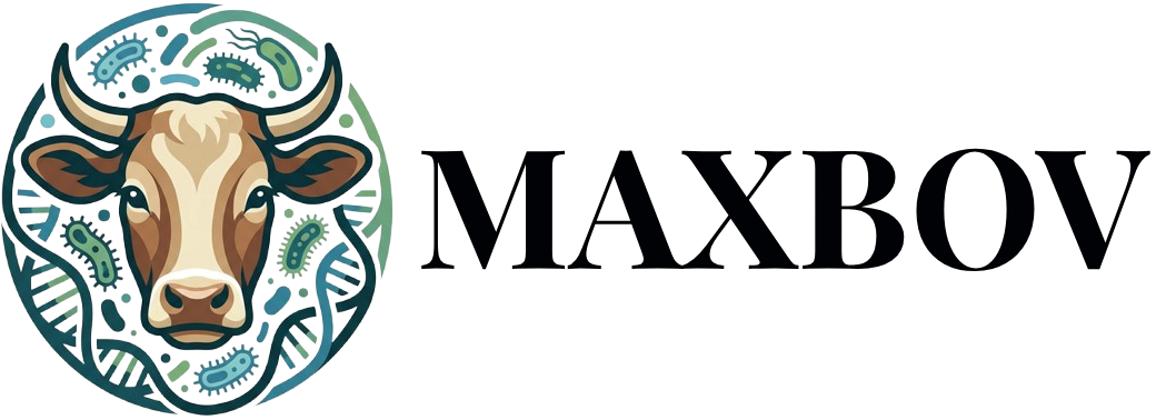 Maxbov