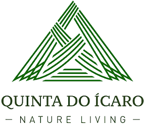 Quinta Ícaro