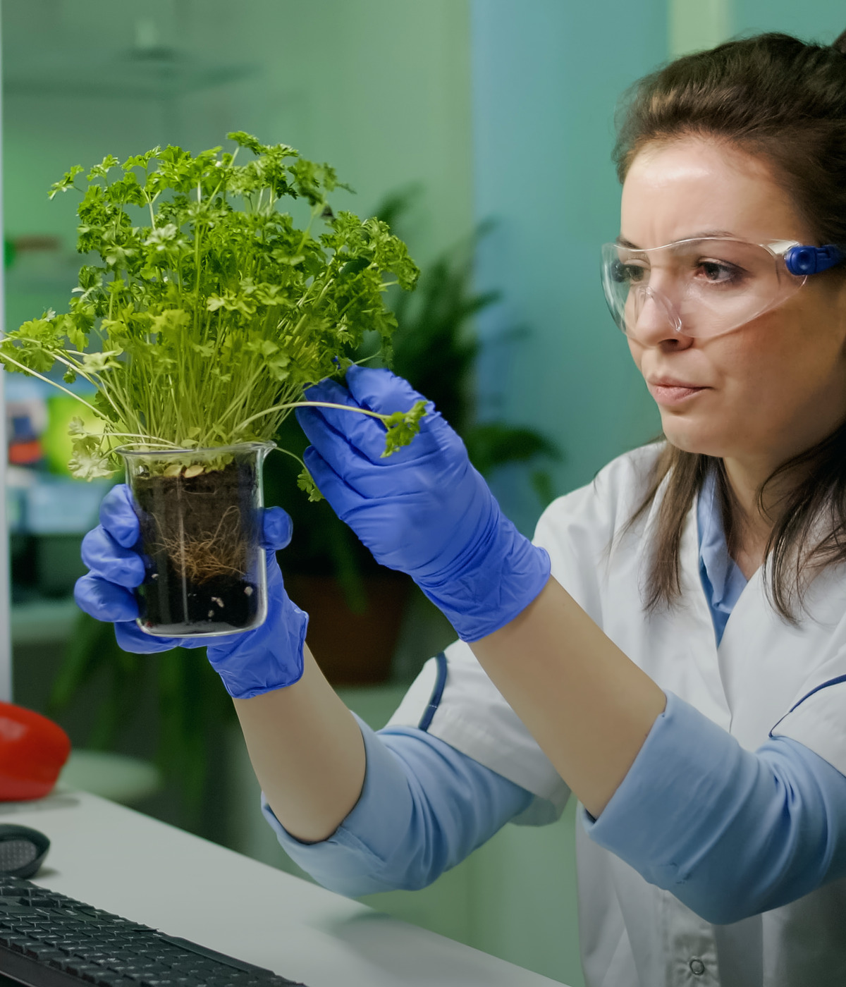 Fotografia de laboratório com planta para Biotech Synergy