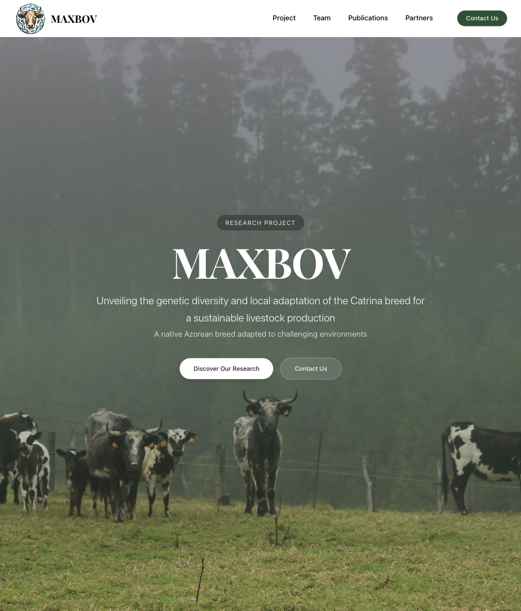 Imagem do projeto MAXBOV sobre investigação da raça bovina Catrina